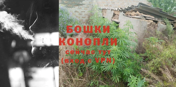 шишки Вязники