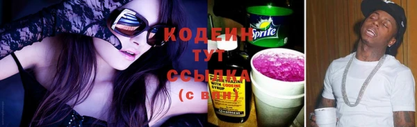 шишки Вязники