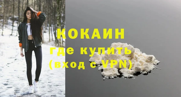 шишки Вязники