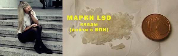 шишки Вязники