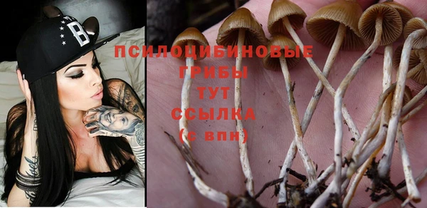мет Вязьма